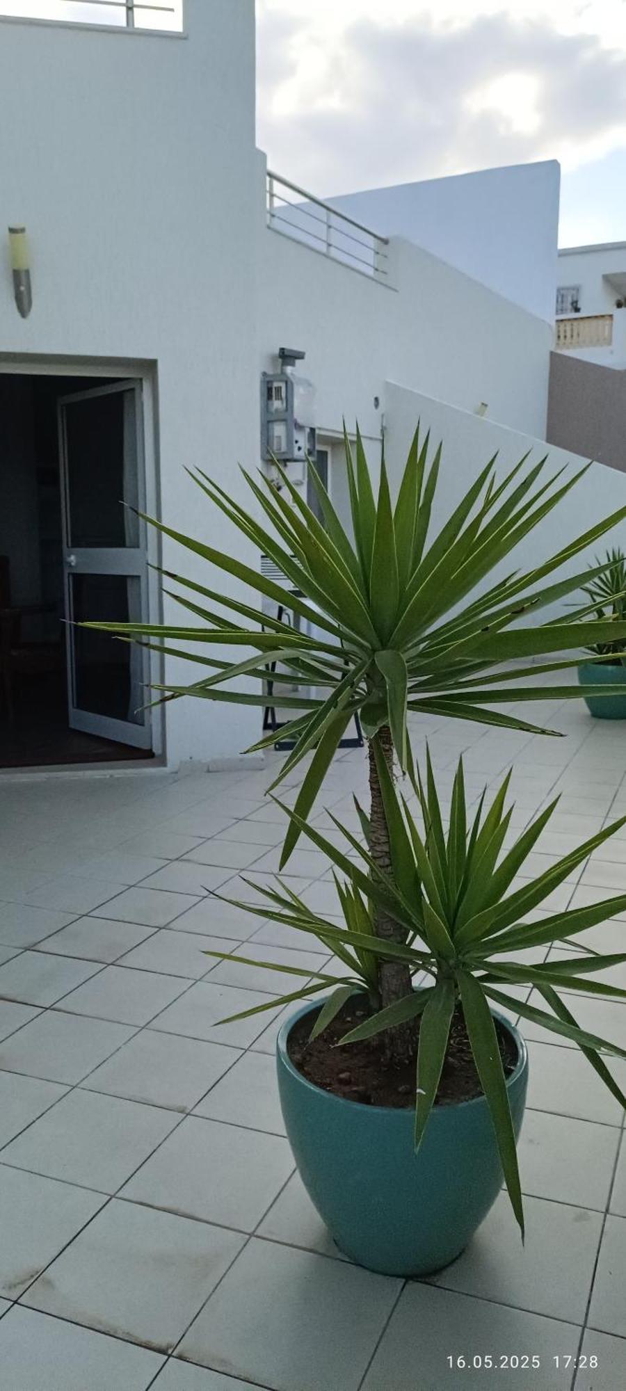 Residence Debbabi Sans Coupure D'Eau Μοναστίρ Δωμάτιο φωτογραφία